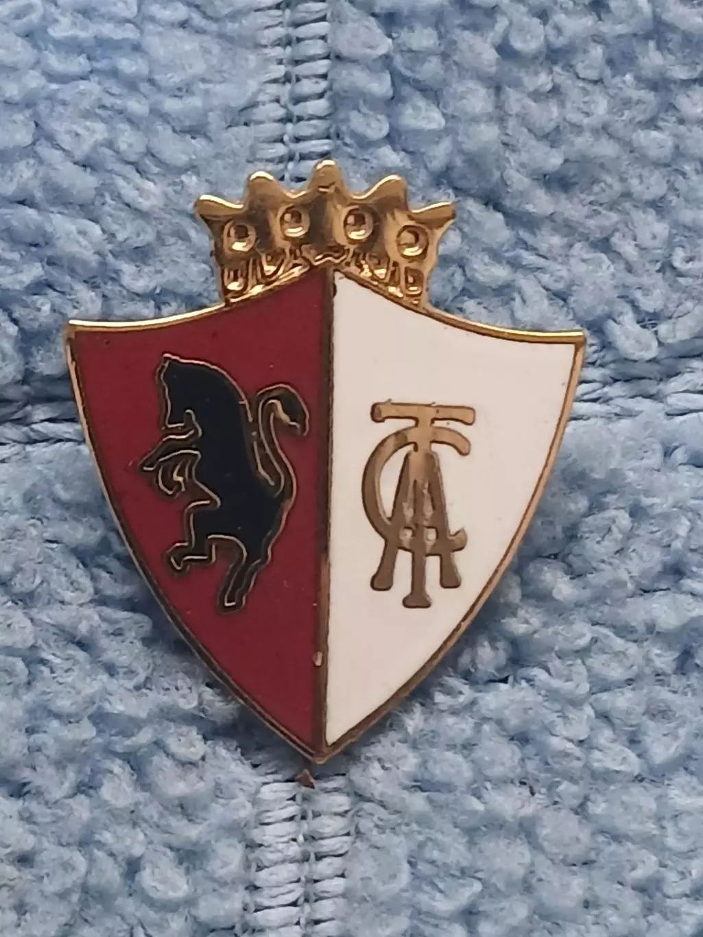 ФК Торино (Италия)/FC Torino (Italy)(12)