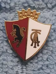 ФК Торино (Италия)/FC Torino (Italy)(13)