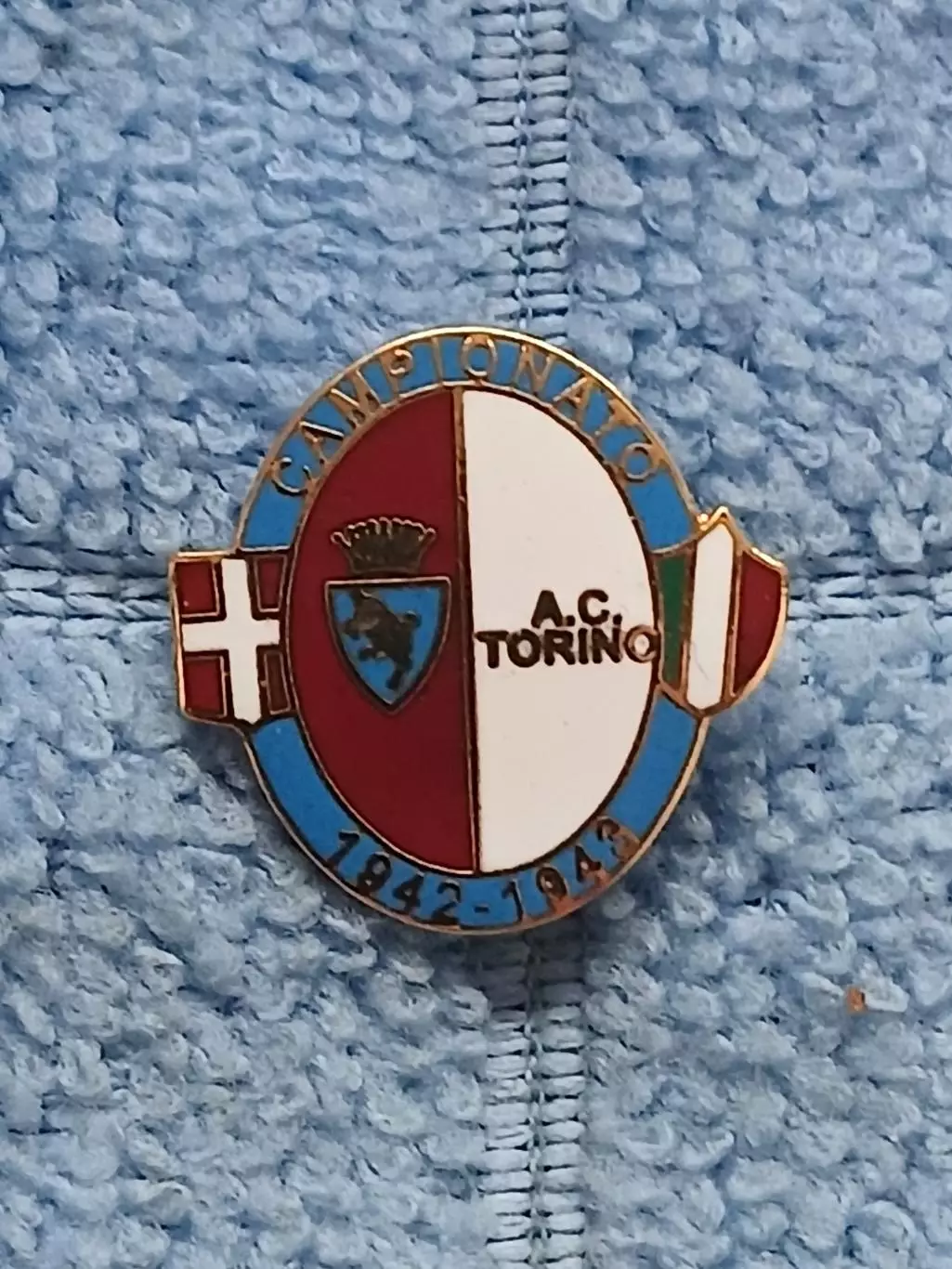 ФК Торино (Италия)/FC Torino (Italy)(14)