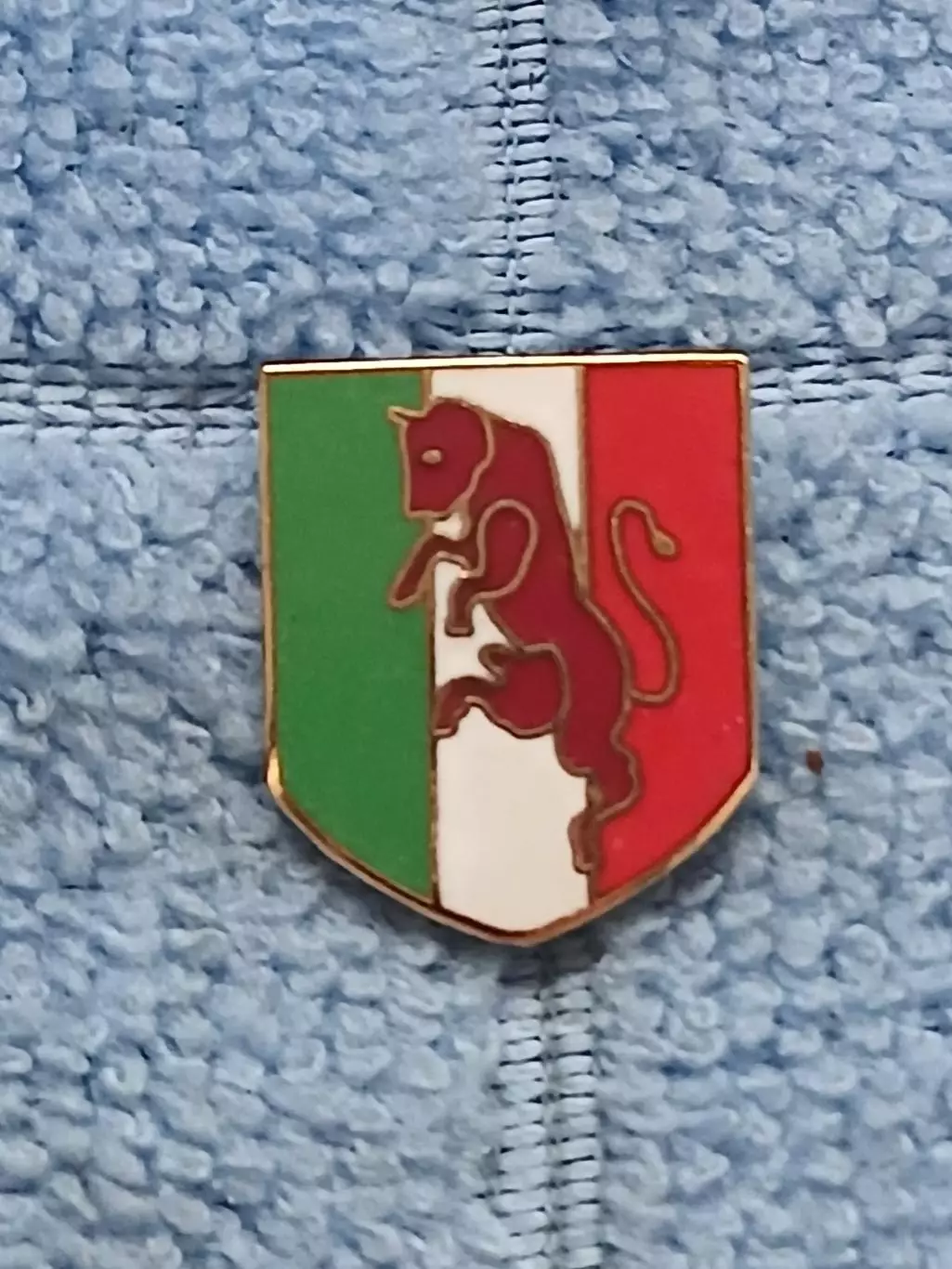 ФК Торино (Италия)/FC Torino (Italy)(15)