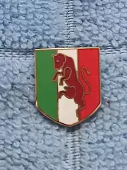 ФК Торино (Италия)/FC Torino (Italy)(15)