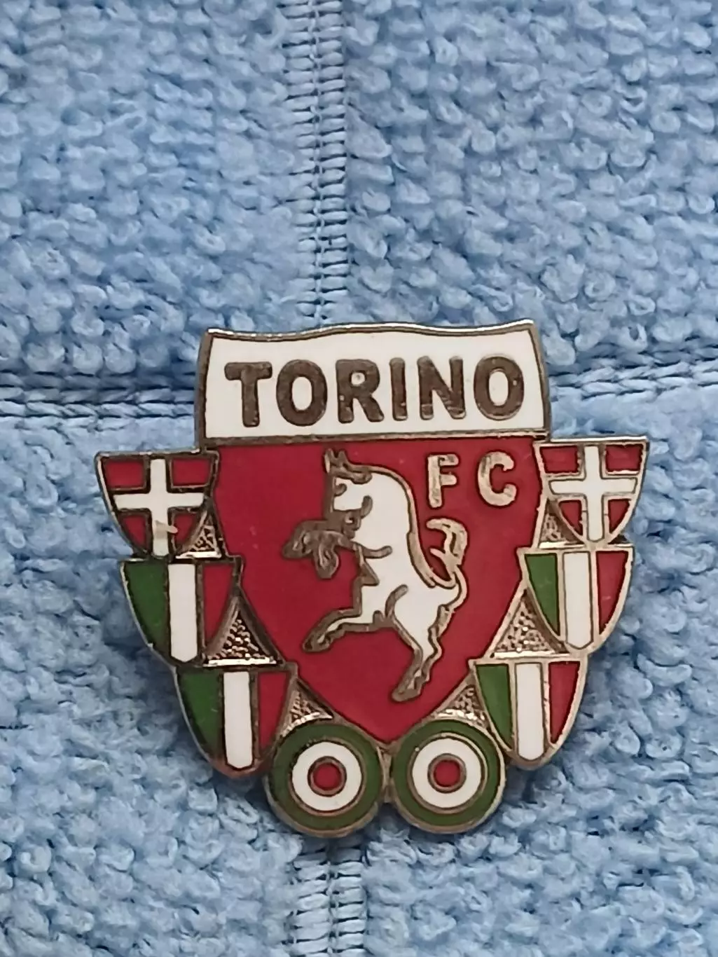 ФК Торино (Италия)/FC Torino (Italy)(16)
