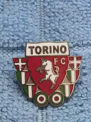 ФК Торино (Италия)/FC Torino (Italy)(16)