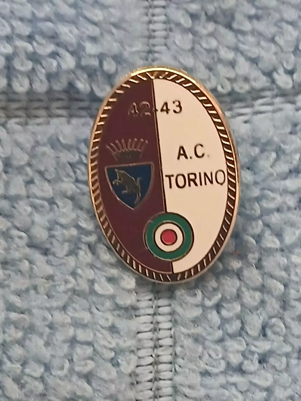 ФК Торино (Италия)/FC Torino (Italy)(25)