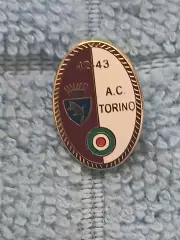 ФК Торино (Италия)/FC Torino (Italy)(25)