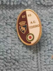 ФК Торино (Италия)/FC Torino (Italy)(31)