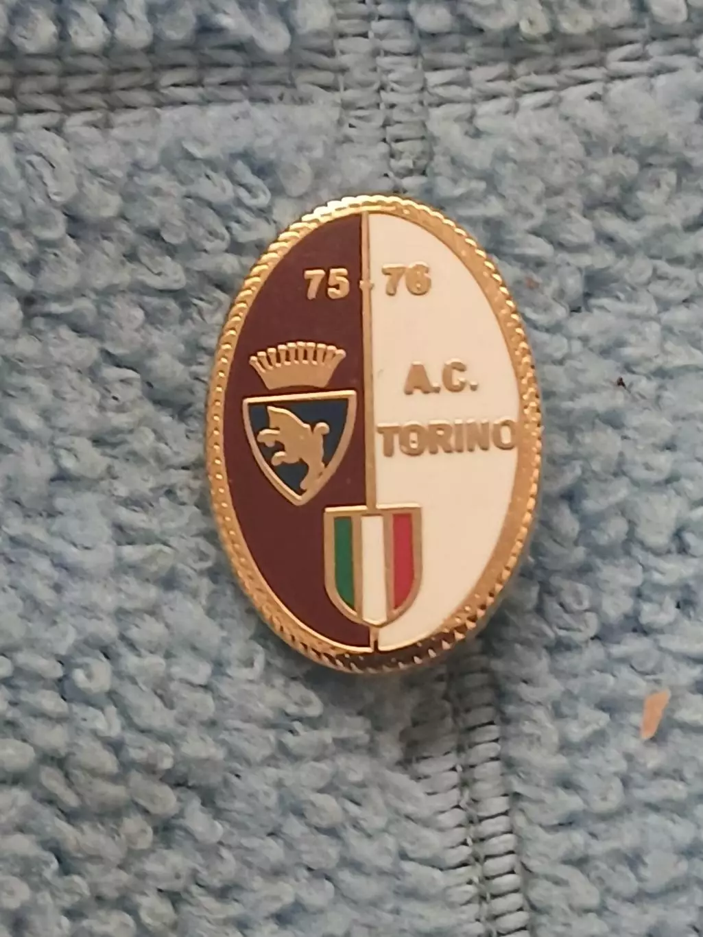 ФК Торино (Италия)/FC Torino (Italy)(32)