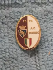 ФК Торино (Италия)/FC Torino (Italy)(32)