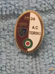 ФК Торино (Италия)/FC Torino (Italy)(34)