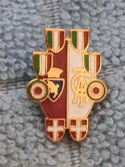ФК Торино (Италия)/FC Torino (Italy)(38)