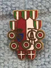 ФК Торино (Италия)/FC Torino (Italy)(41)