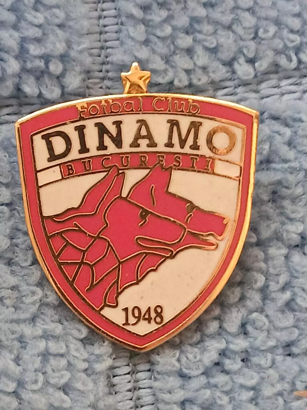 ФК Динамо Бухарест (Румыния)/FC Dinamo Bucharest (Romania)(1)