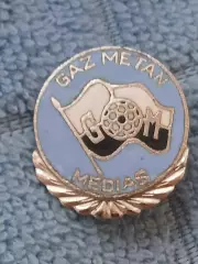 ФК Газ Метан (Румыния)/ FC Gaz Metan (Romania)оригинал