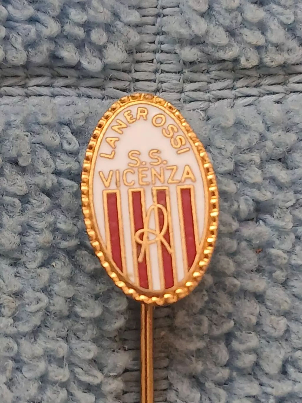 ФК Виченца (Италия)/FC Vicenza (Italy)
