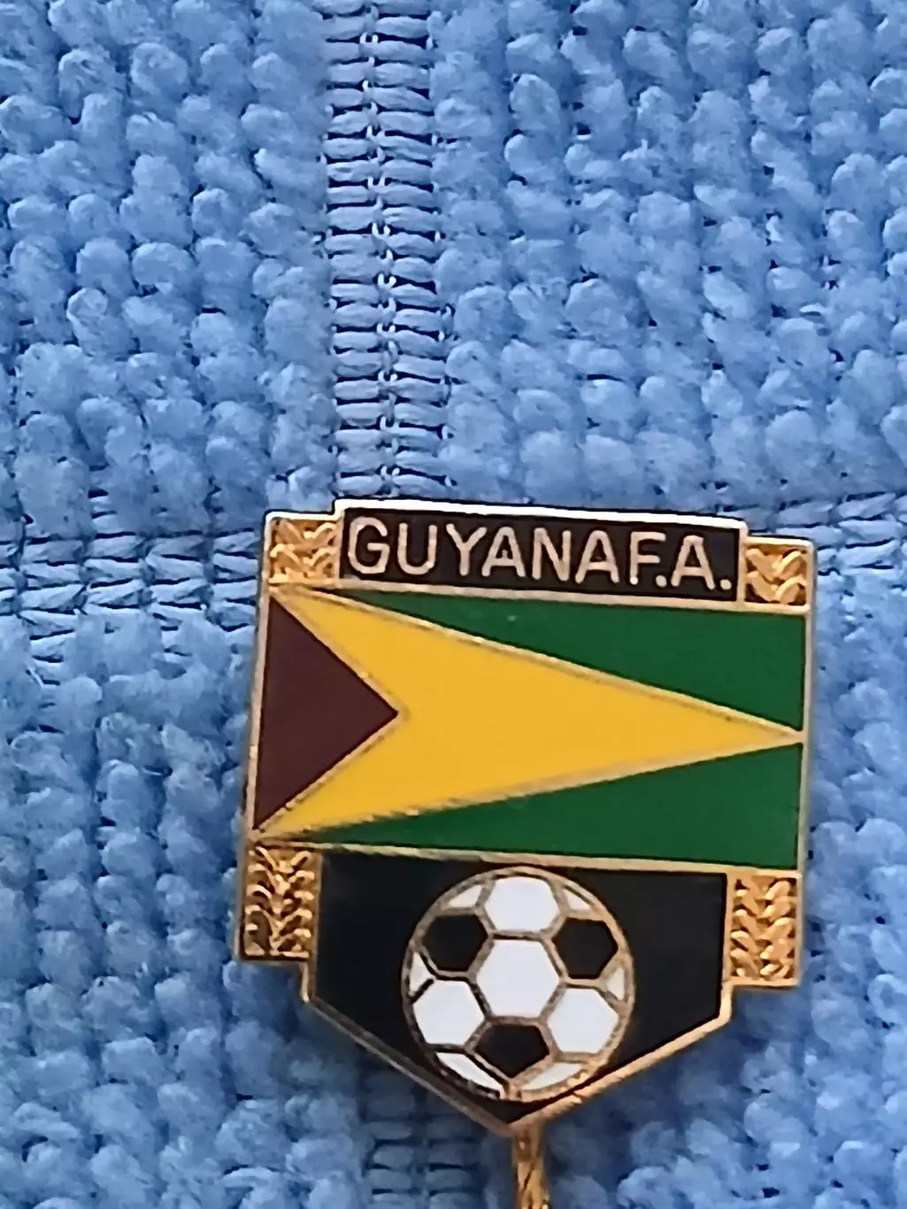 Гайяна Федерация футбола/Guyana Football Federation(1)