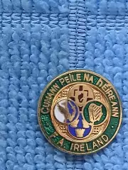 Ирландия Федерация футбола/Ireland Football Federation(1)