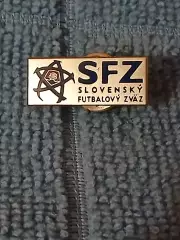 Словакия Федерация футбола/Slovakia Football Federation(9)