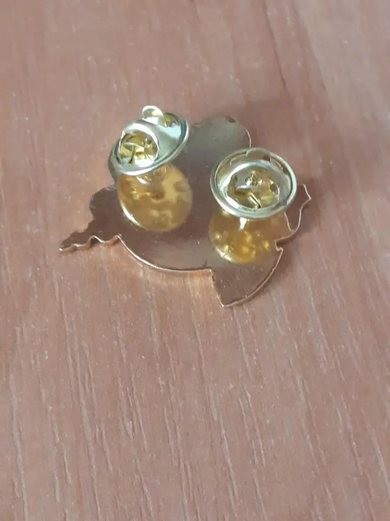 Зенит, Россия в Кубке УЕФА 2005-06 1