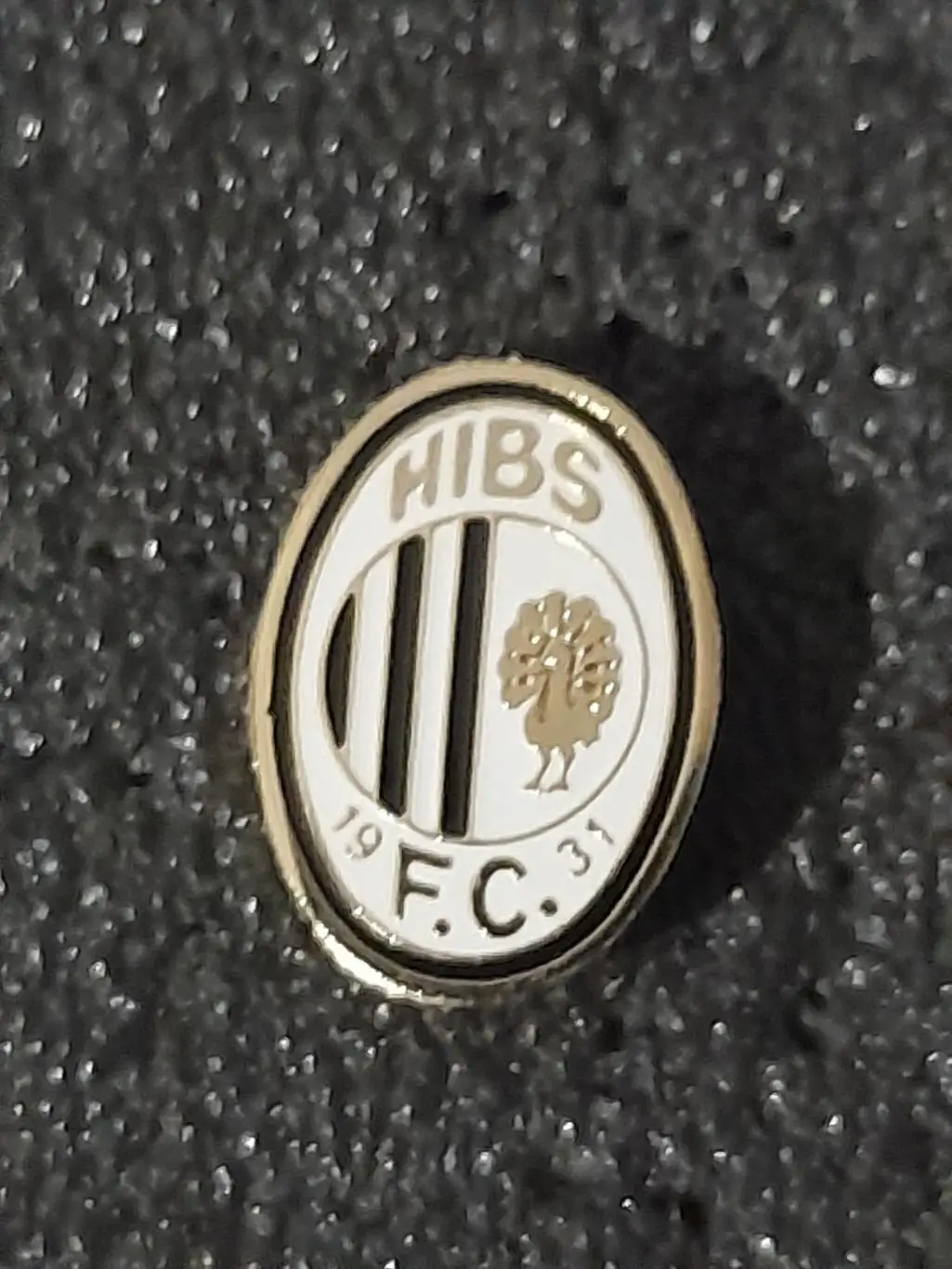 ФК Хіберніанс, Мальта/FC Hibernians, Malta (2)