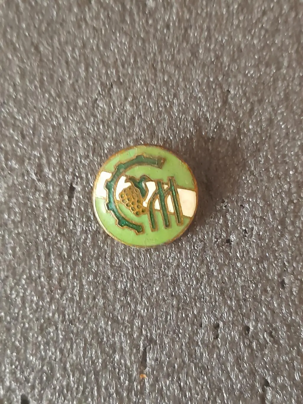 ДСО Молдова, МолССР