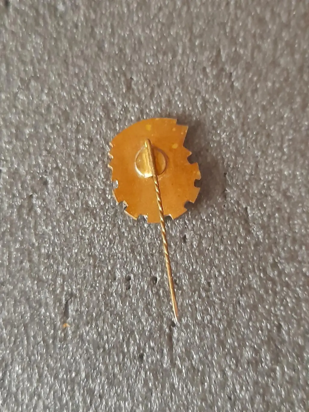 ДСО Червоний Прапор, БРСР 1