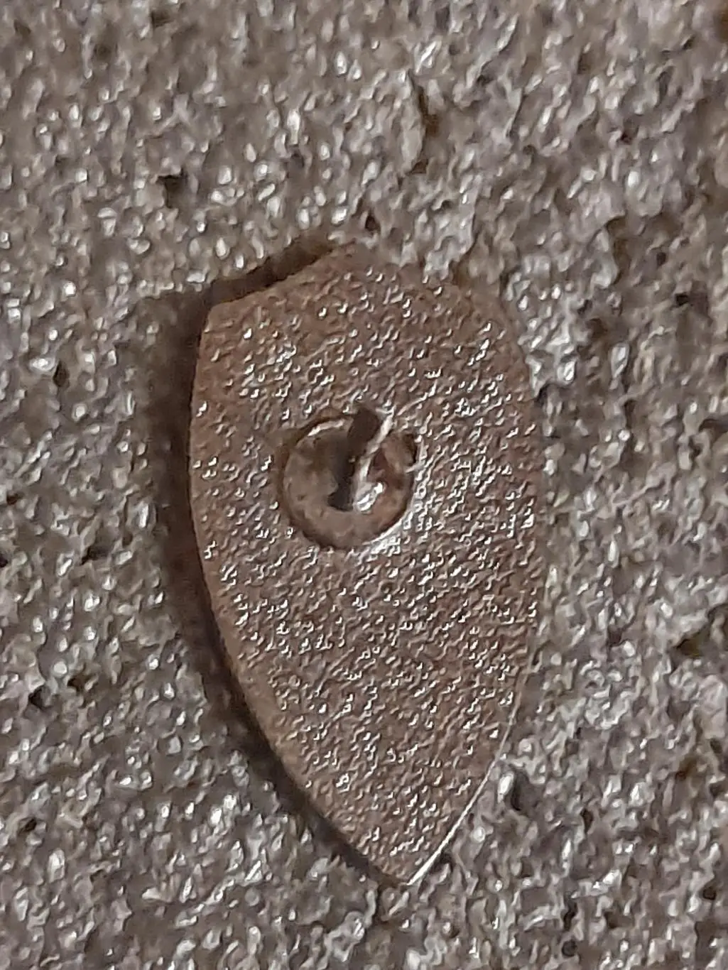 ФК Лівий берег, Київ ( Україна )/ FC Levyi Bereg, Kyiv(Ukraine)(1) 1