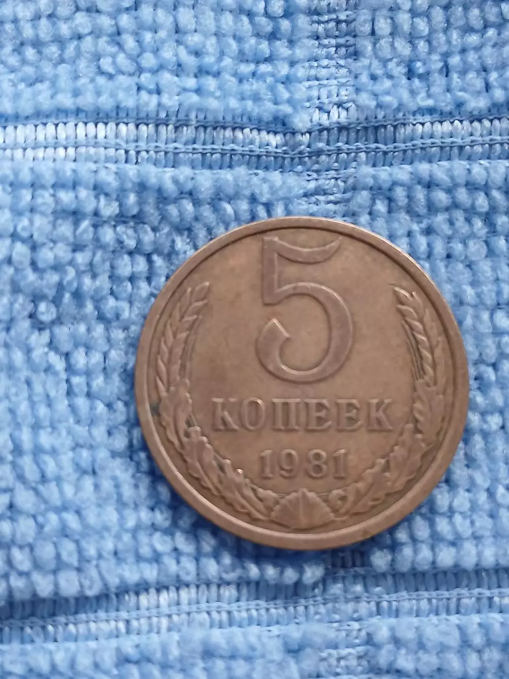 5 копеек 1981 СССР (1)