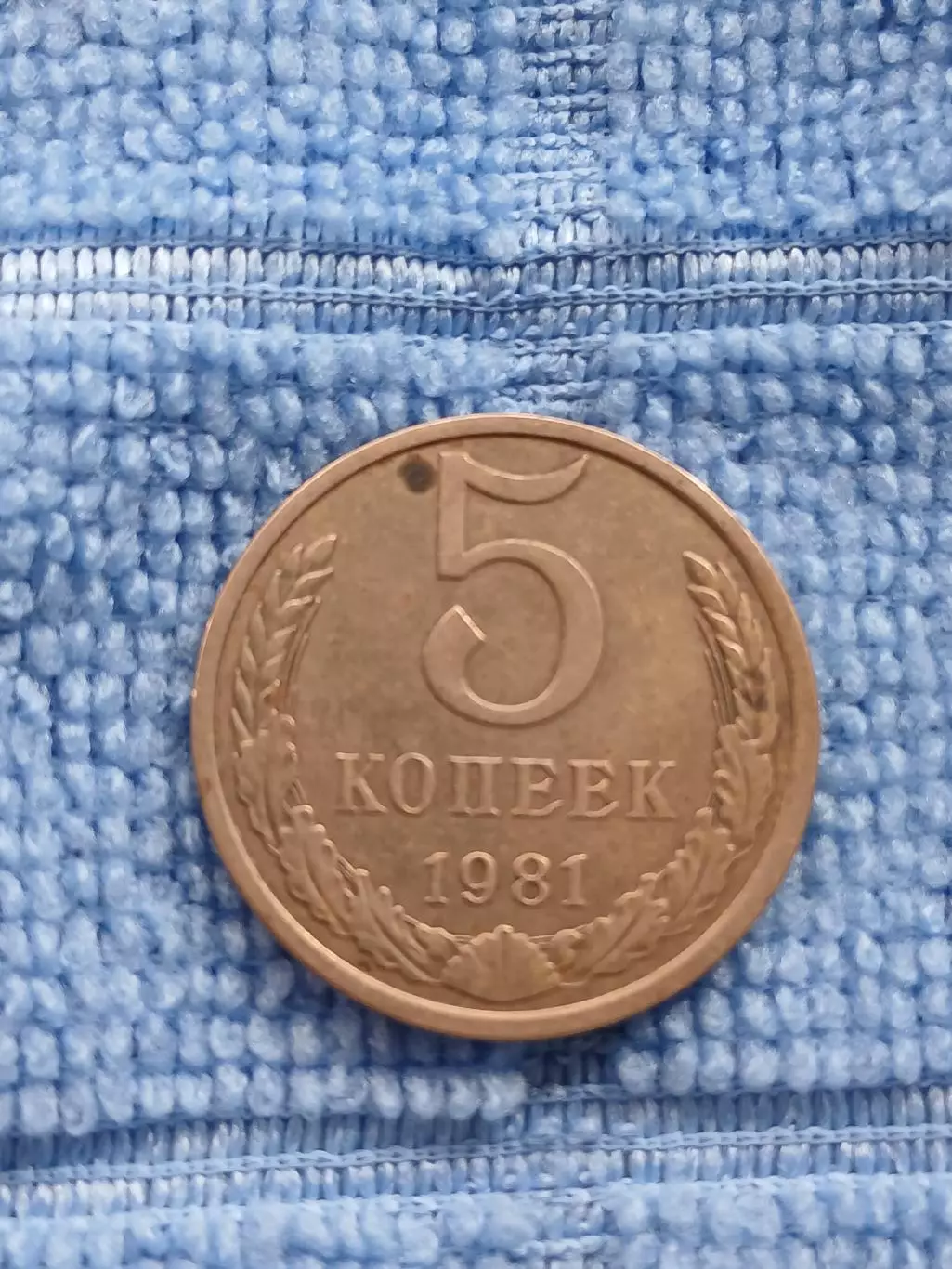 5 копеек 1981 СССР (2)