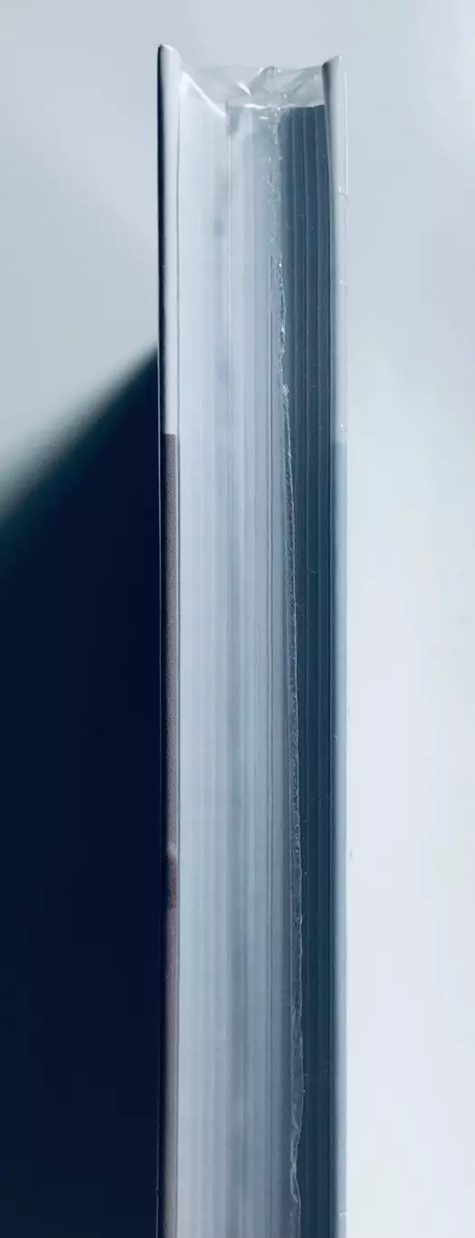 Книга Аль Капоне 1