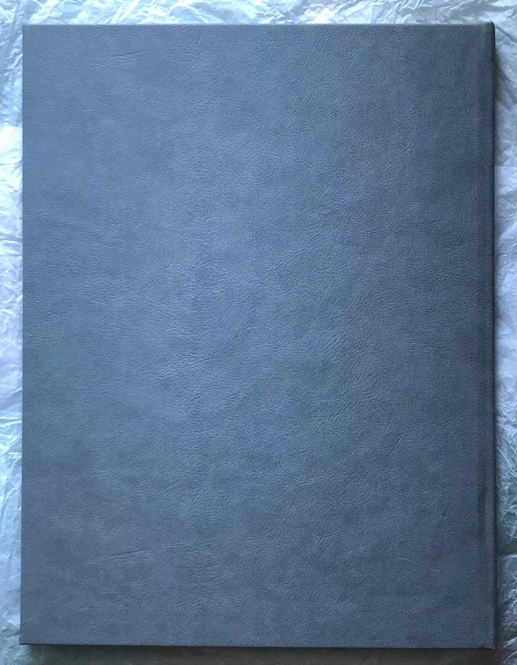 Книга • Московский метрополитен 1