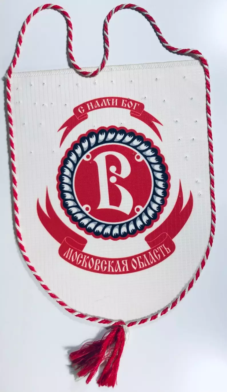 Вымпел ХК Витязь