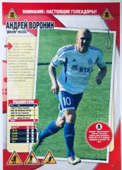 Андрей Воронин ФК Динамо Москва