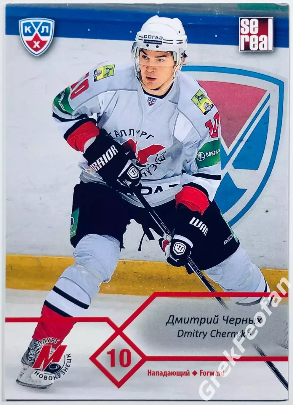 Карточка Дмитрий Черных ХК Металлург Новокузнецк