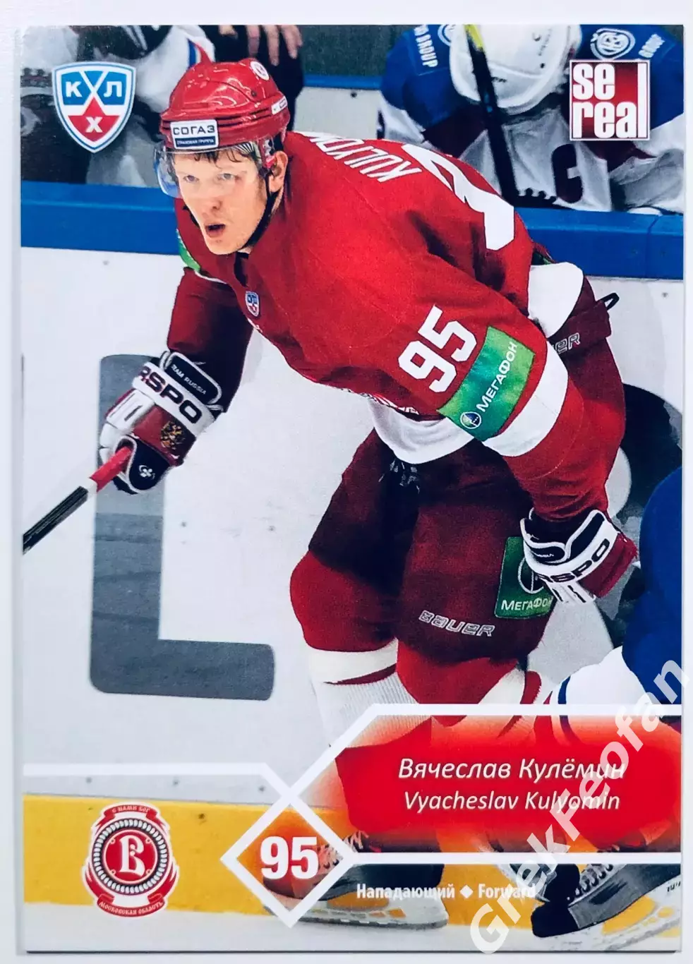 Карточка Вячеслав Кулёмин ХК Витязь Чехов
