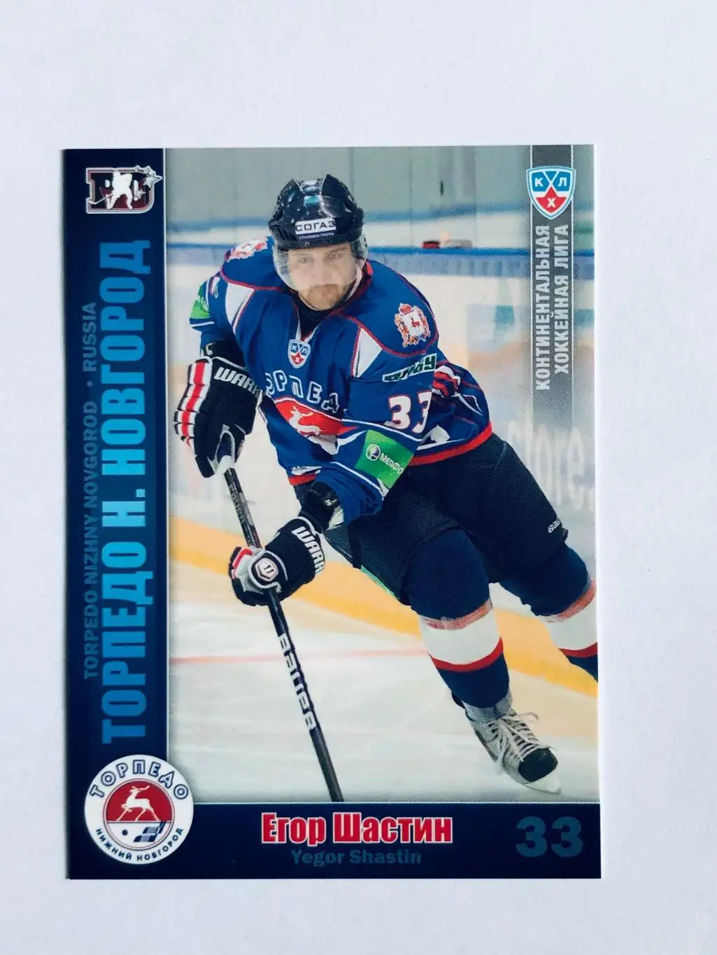 Карточка Егор Шастин ХК Торпедо НН