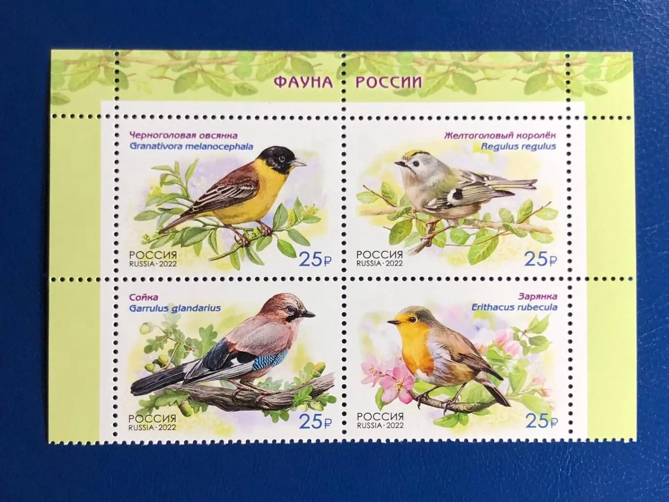 Россия 2022. Фауна России. Певчие птицы