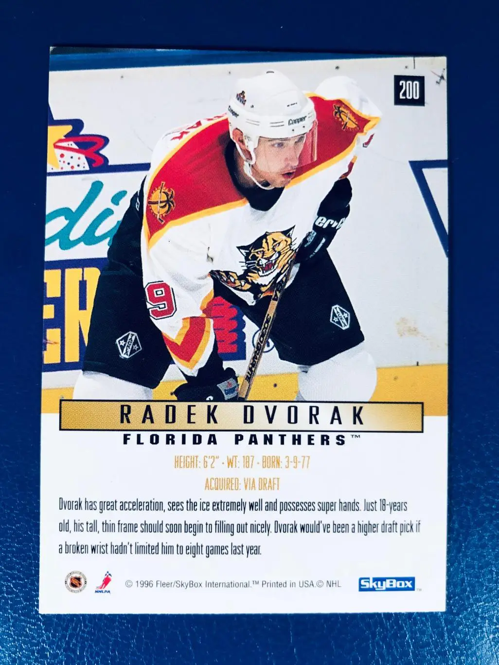 Карточка Radek Dvorak Florida Panthers 1