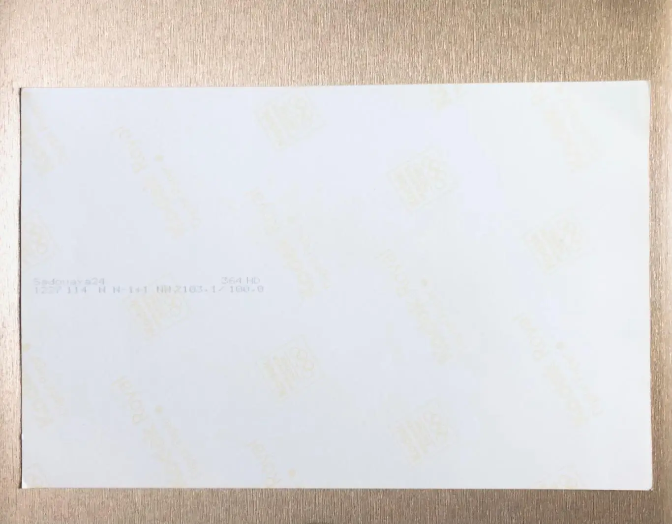 Фото ФК Зенит СПб 1