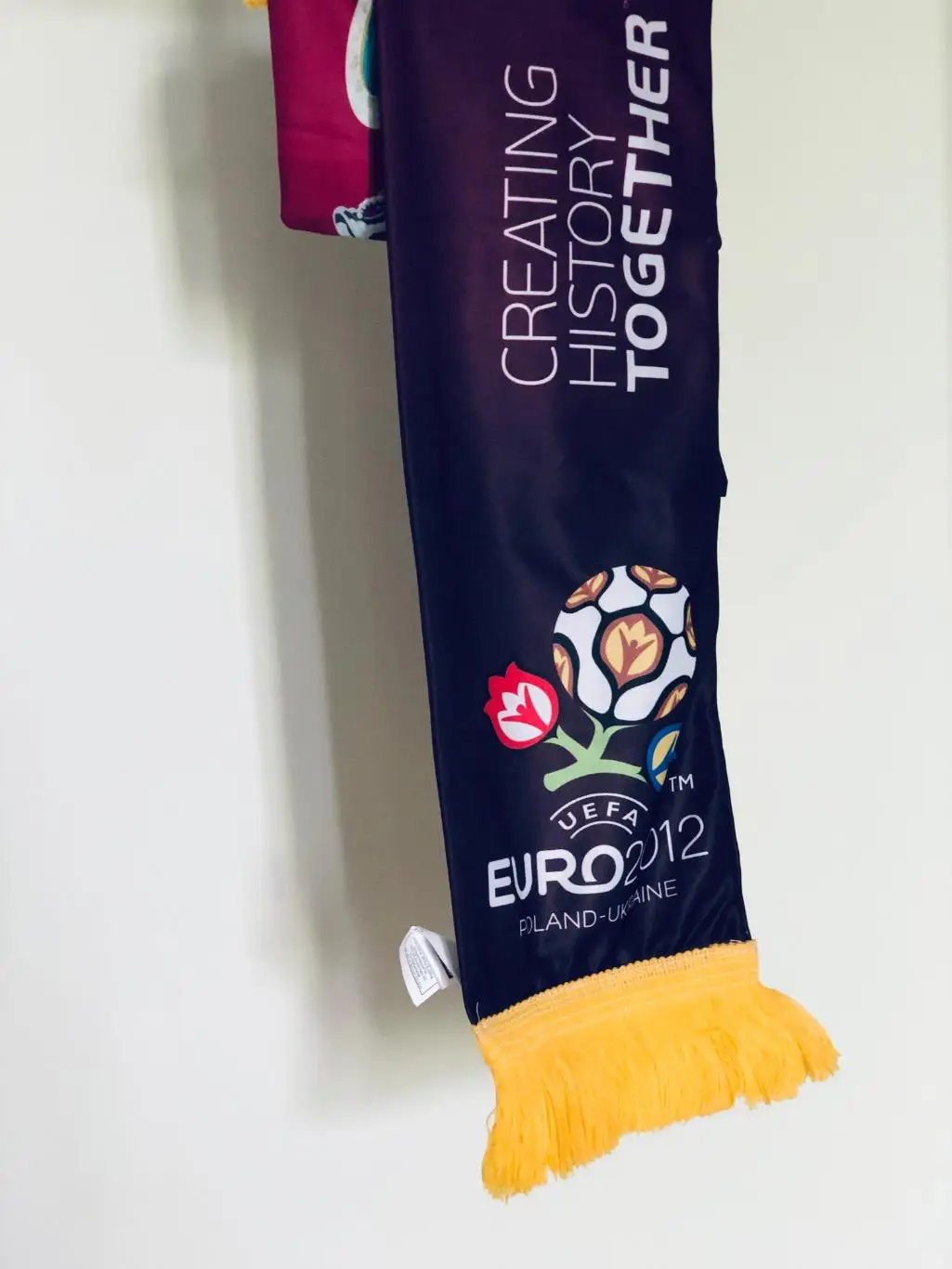 Шарф Евро 2012 1