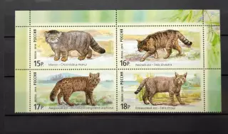 Россия 2014. Фауна России. Дикие кошки