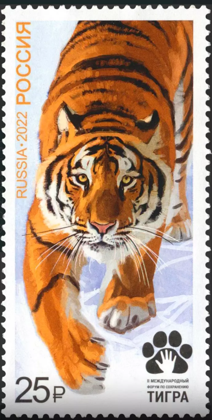 Россия 2022. Международный форум по сохранению тигра.