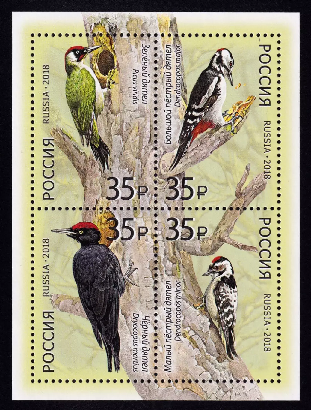 Россия 2018. Фауна России. Дятлы