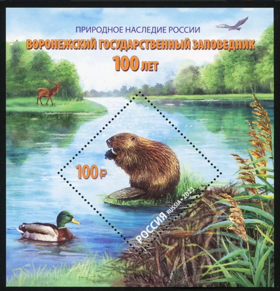 Россия 2023. «Природное наследие России». 100 лет Воронежскому заповеднику