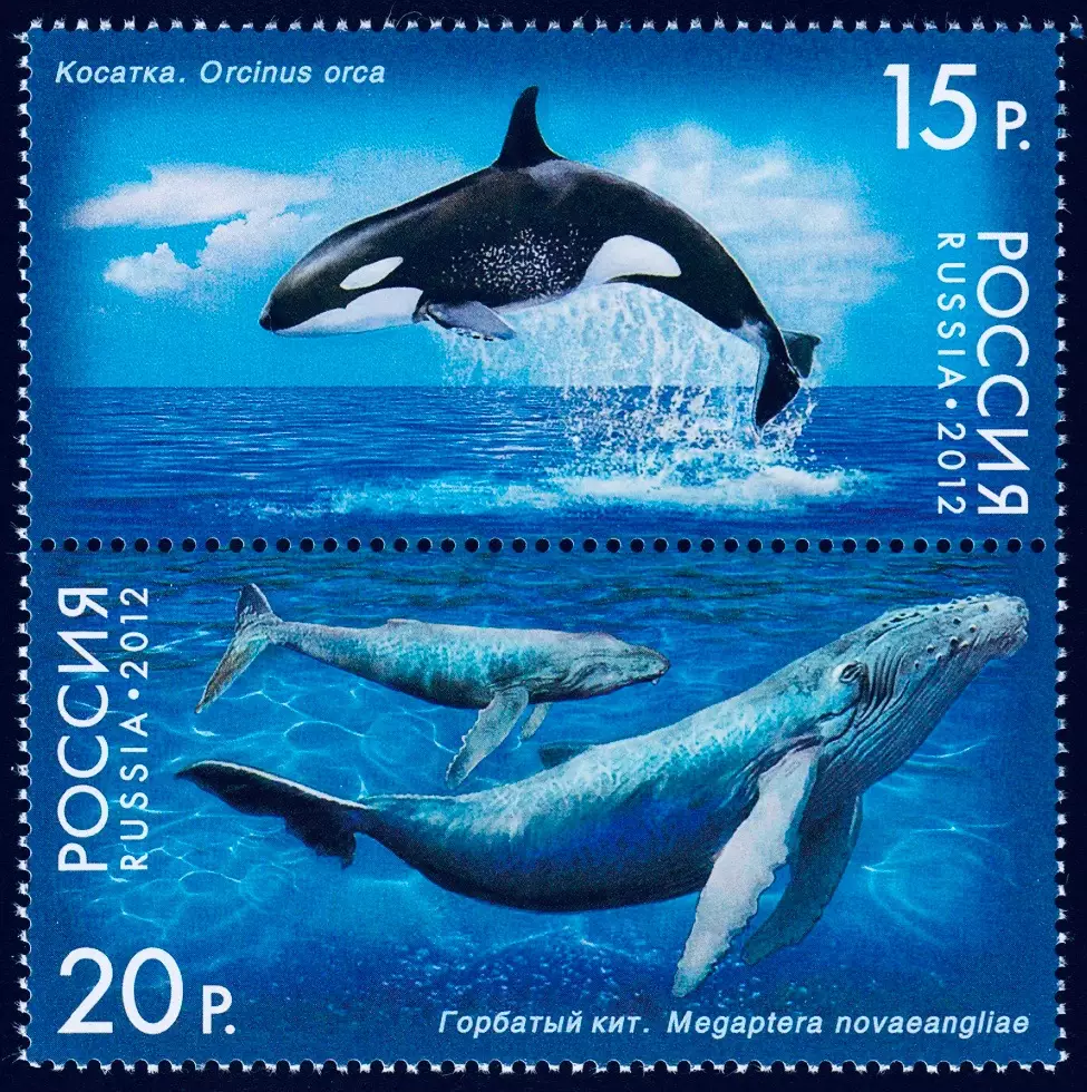 Россия 2012. Серия «Фауна России. Киты»