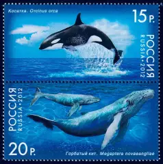 Россия 2012. Серия «Фауна России. Киты»