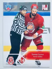 Карточка Тревор Гиллис ХК Витязь Чехов