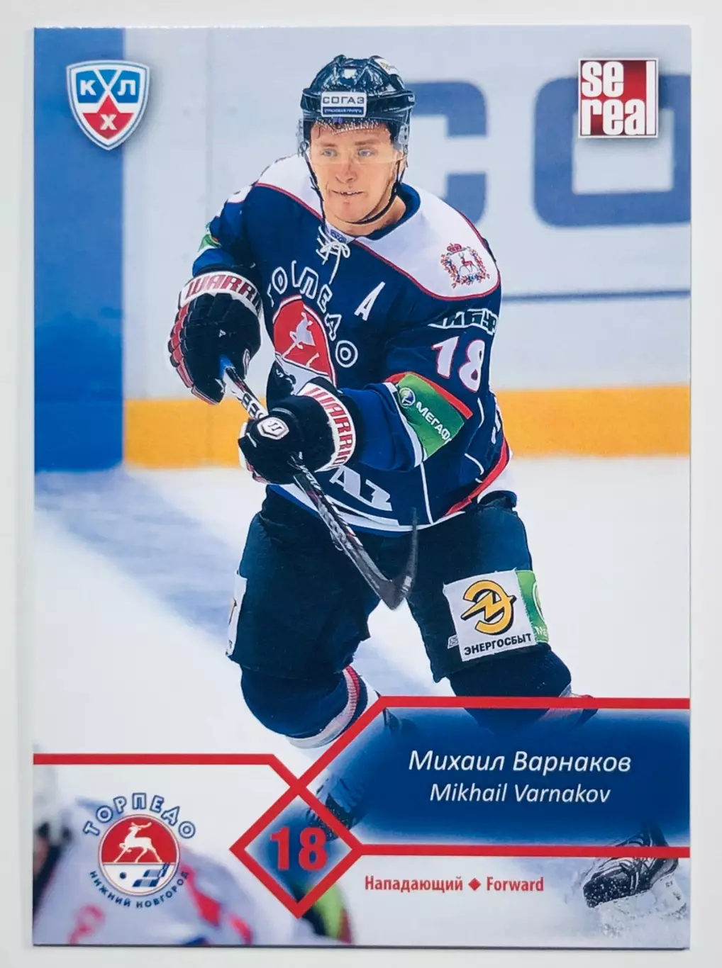 Карточка Михаил Варнаков ХК Торпедо НН