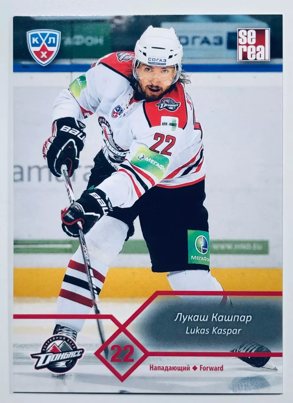 Карточка Лукаш Кашпар ХК Донбасс Донецк