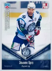 Карточка Збынек Иргл ХК Динамо Минск