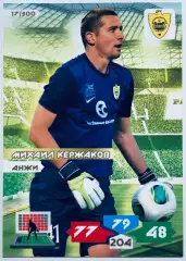 Карточка Михаил Кержаков Анжи Махачкала